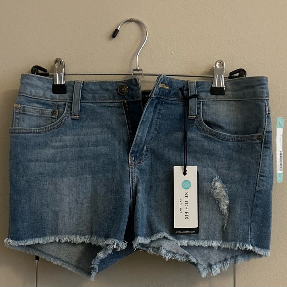 Stitch Fix Distressed Denim Shorts